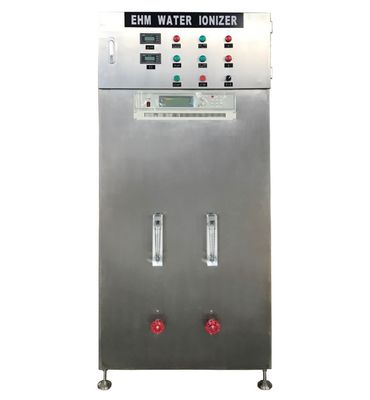 Endüstriyel Su İyonlaştırıcısı 1000L/h Alkali Asitli Paslanmaz Çelik